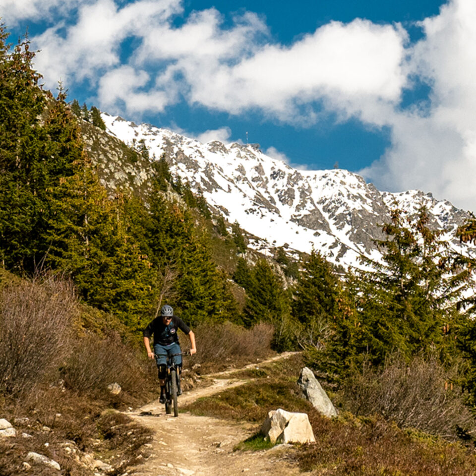 RWTL-Valais-2-Mozaic-Portrait